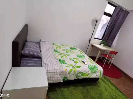 单间出租 • 欧南 •  Torieview Mansions • S$1250 • 住宅公寓 • 普通房 照片