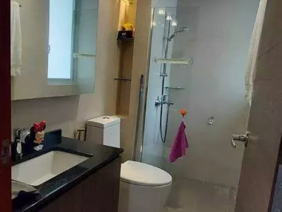 整套出租 • 武吉知马 •  Astor • S$3800 • 住宅公寓 •  照片