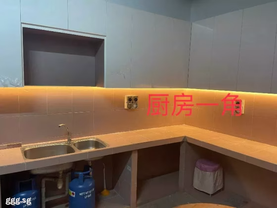 单间出租 • 欧南 •  Langsat Road • S$1500 • 优质洋房 • 主人房 照片