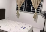 单间出租 • 碧山 • 452A Sengkang West Way • S$1000 • 4房(3臥室) • 普通房