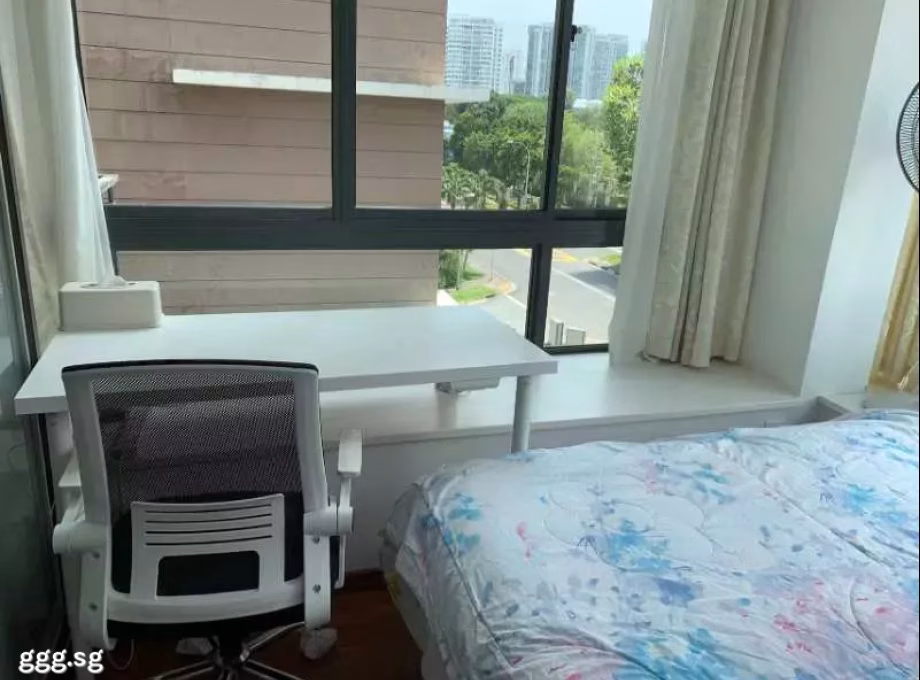 单间出租 • 新邦 •  Haig Residences • S$1200 • 住宅公寓 • 普通房 照片