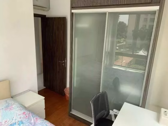 单间出租 • 新邦 •  Haig Residences • S$1200 • 住宅公寓 • 普通房 照片