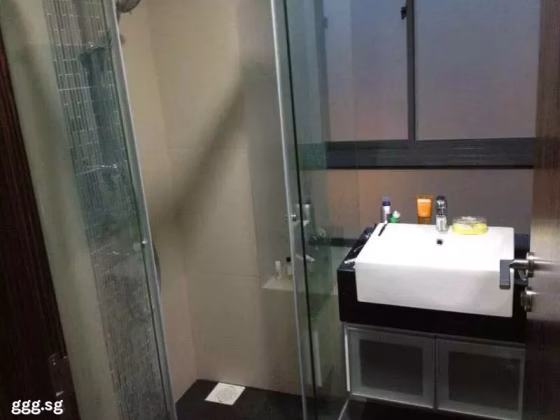 单间出租 • 新邦 •  Haig Residences • S$1200 • 住宅公寓 • 普通房 照片