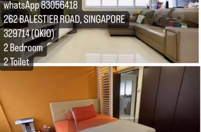 整套出租 • 纽顿 •  Okio • S$3000 • 住宅公寓 • 1333ft² / 123m²