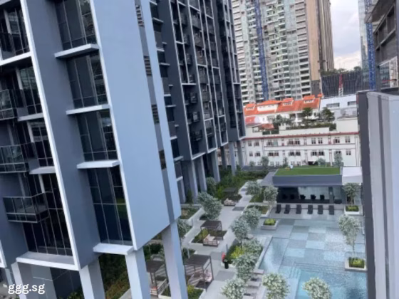 整套出租 • 淡滨尼 •  The M • S$3650 • 住宅公寓 • 409ft² / 37m² 照片