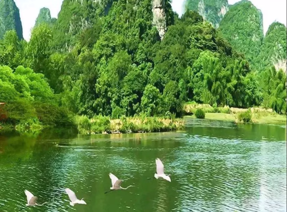 单间出租 • 欧南 •  Sims Point • S$400 • 住宅公寓 • 床位出租 照片