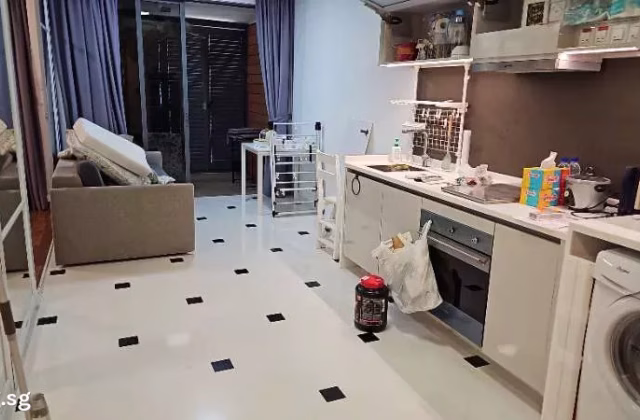 整套出租 • 南部群岛 •  Sophia Hills • S$3980 • 共管公寓 • 506ft² / 47m²