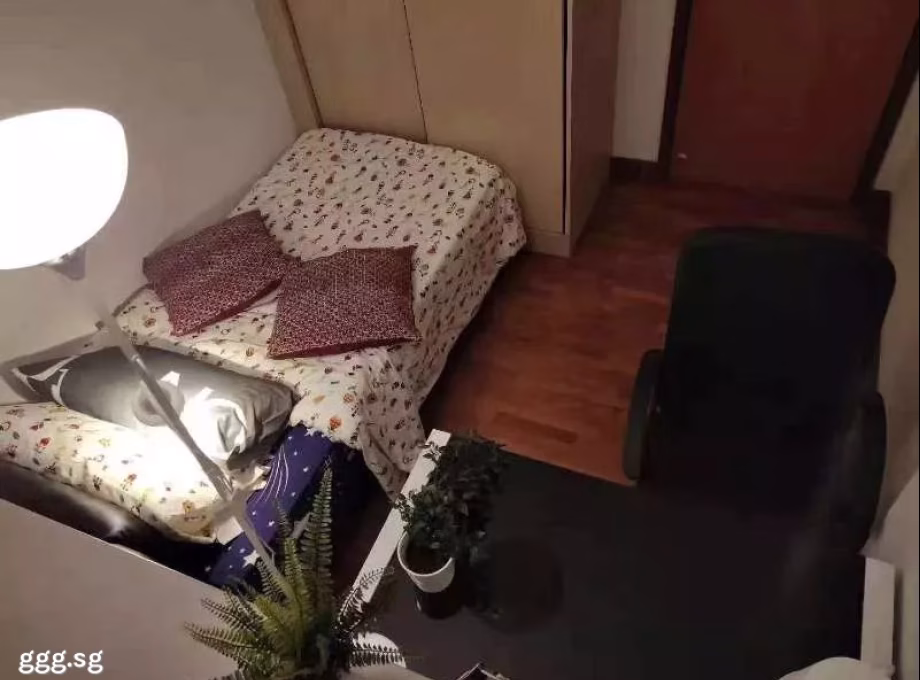 单间出租 • 纽顿 •  Parc Haven • S$1200 • 住宅公寓 • 普通房 照片
