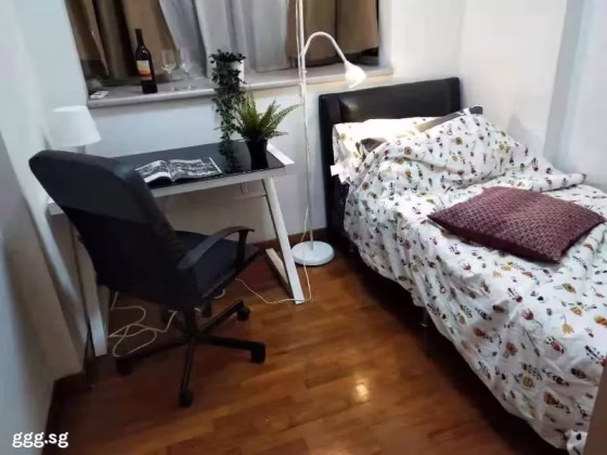 单间出租 • 纽顿 •  Parc Haven • S$1200 • 住宅公寓 • 普通房 照片