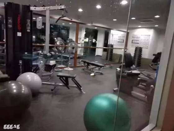 单间出租 • 纽顿 •  Parc Haven • S$1200 • 住宅公寓 • 普通房 照片