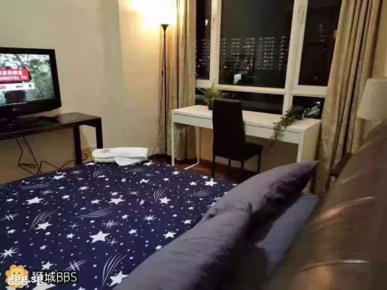 单间出租 • 纽顿 •  Parc Haven • S$1200 • 住宅公寓 • 普通房 照片
