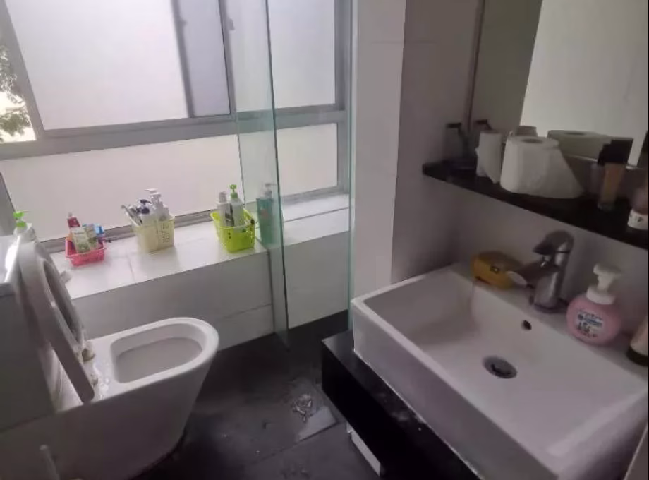 整套出租 • 蔡厝港 •  Alexis • S$150 • 住宅公寓 •  照片