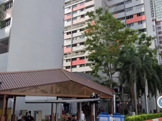 单间出租 • 博物馆 • 467 North Bridge Road • S$1400 • 3房(2臥室) • 普通房 照片