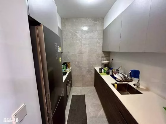 整套出租 • 蔡厝港 •  Stirling Residences • S$3000 • 共管公寓 • 678ft² / 62m² 照片