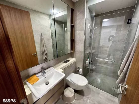 整套出租 • 蔡厝港 •  Stirling Residences • S$3000 • 共管公寓 • 678ft² / 62m² 照片