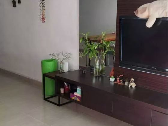 单间出租 • 后港 • 351B Canberra Road • S$800 • 4房(3臥室) • 普通房 照片