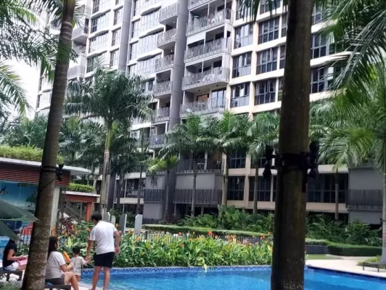 单间出租 • 新加坡河 •  Hundred Palms Residences • S$1200 • 共管公寓 • 普通房 照片
