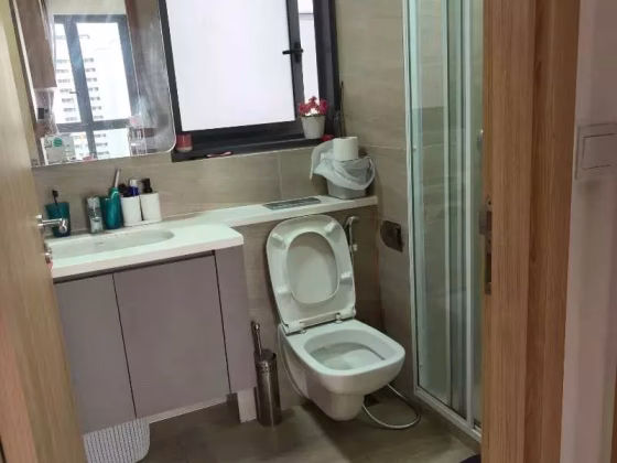 单间出租 • 新加坡河 •  Hundred Palms Residences • S$1200 • 共管公寓 • 普通房 照片