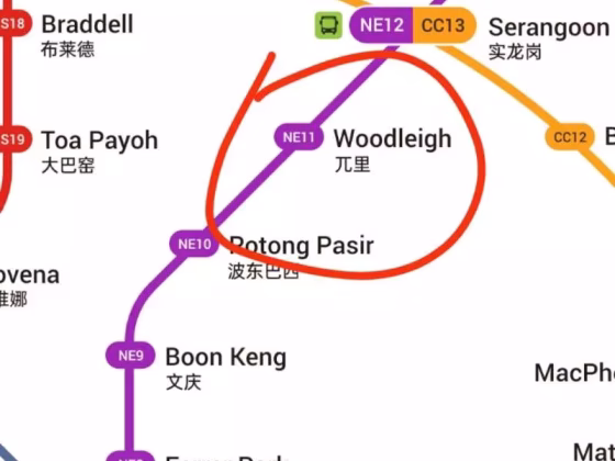 单间出租 • 马林百列 • 101A Bidadari Park Drive • S$550 • 4房(3臥室) • 佣人房 照片