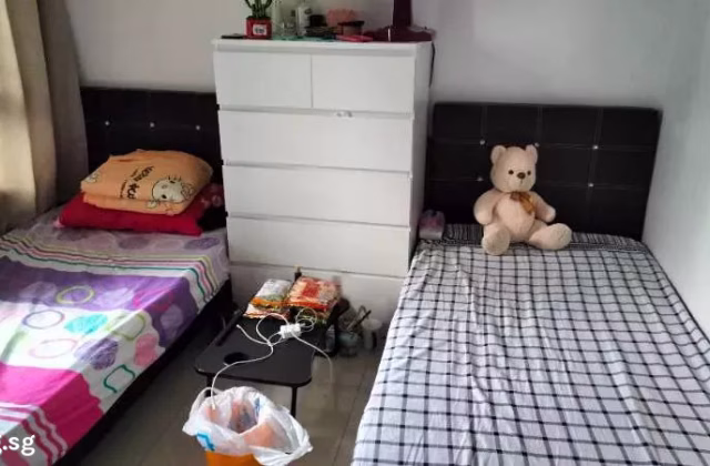 单间出租 • 马林百列 • 101A Bidadari Park Drive • S$550 • 4房(3臥室) • 普通房