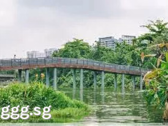 单间出租 • 碧山 • 335C Anchorvale Crescent • S$850 • 4房(3臥室) • 普通房 照片