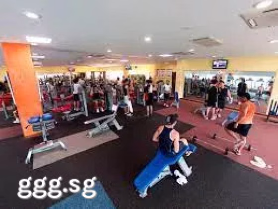 单间出租 • 碧山 • 335C Anchorvale Crescent • S$850 • 4房(3臥室) • 普通房 照片