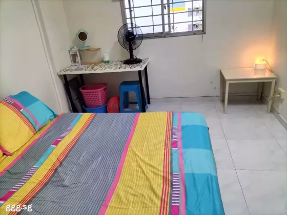 单间出租 • 乌节 • 346 Ang Mo Kio Avenue 3 • S$800 • 3房(2臥室) • 普通房 照片