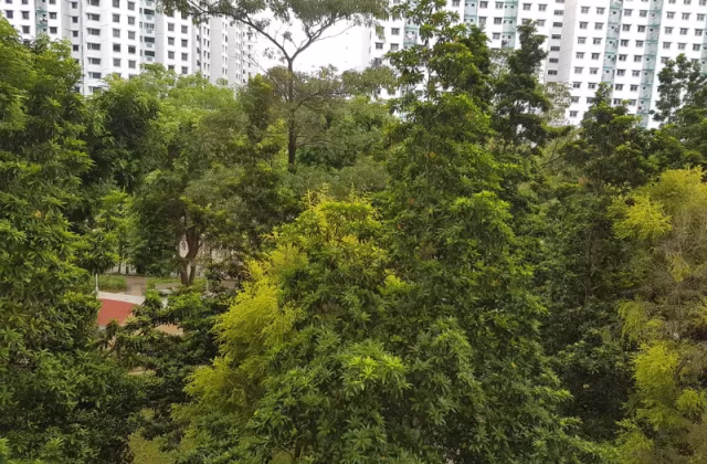 单间出租 • 林厝港 • 665A Jurong West Street 64 • S$1250 • 执行组屋 • 普通房