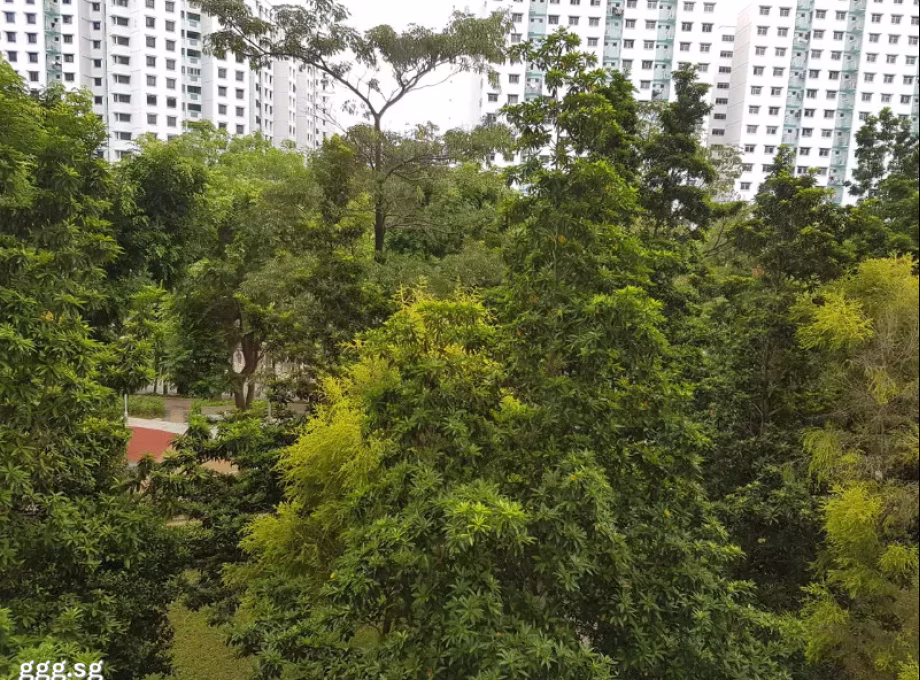 单间出租 • 林厝港 • 665A Jurong West Street 64 • S$1250 • 执行组屋 • 普通房 照片
