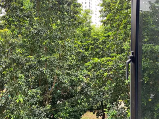 单间出租 • 林厝港 • 665A Jurong West Street 64 • S$1250 • 执行组屋 • 普通房 照片