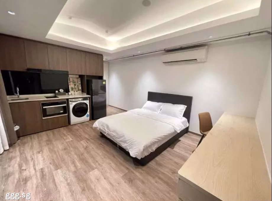 整套出租 • 淡滨尼 •  Tan Quee Lan Suites • S$4500 • 住宅公寓 •  照片