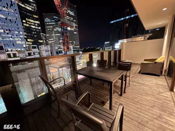 整套出租 • 淡滨尼 •  Tan Quee Lan Suites • S$4500 • 住宅公寓 •  照片