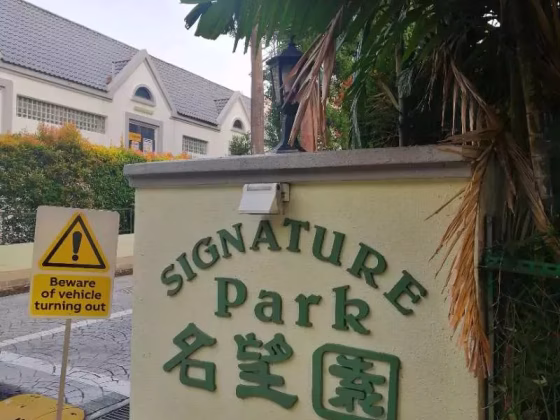 单间出租 • 诺维娜 •  Signature Park • S$700 • 共管公寓 • 普通房 照片