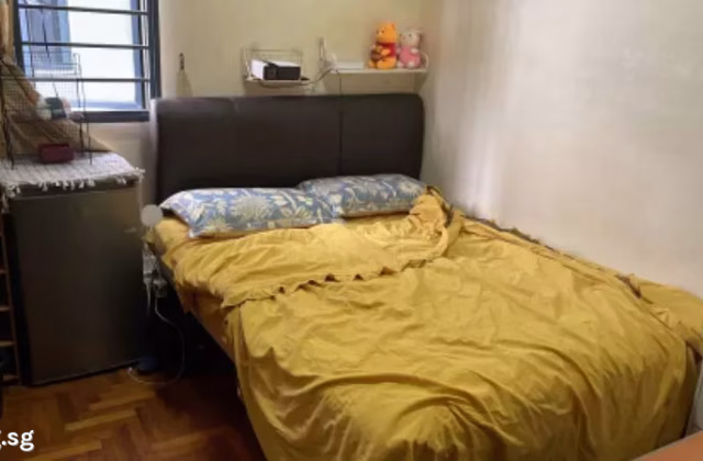 单间出租 • 新加坡河 •  Regentville • S$1100 • 住宅公寓 • 普通房