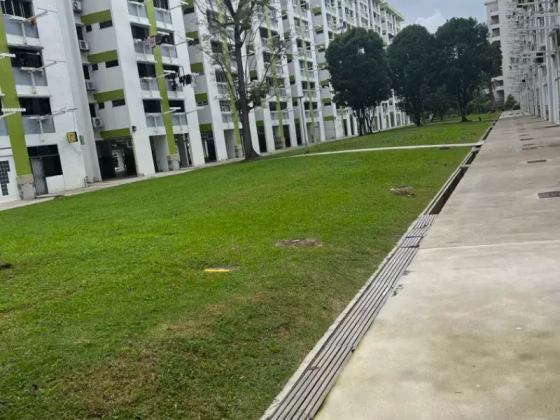 单间出租 • 乌节 • 211 Ang Mo Kio Avenue 3 • S$350 • 3房(2臥室) • 床位出租 照片
