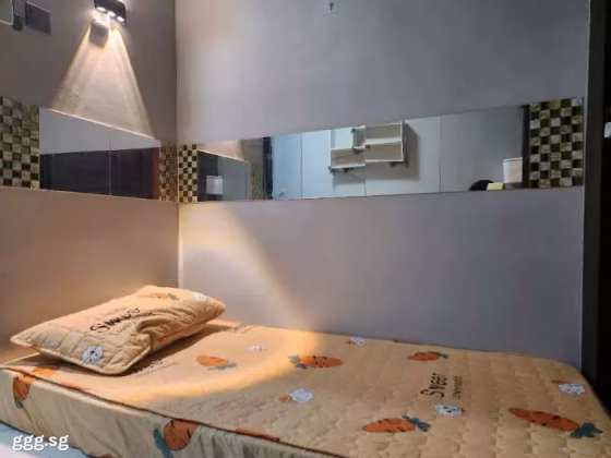 单间出租 • 金文泰 • 141 Jalan Bukit Merah • S$600 • 3房(2臥室) • 普通房 照片