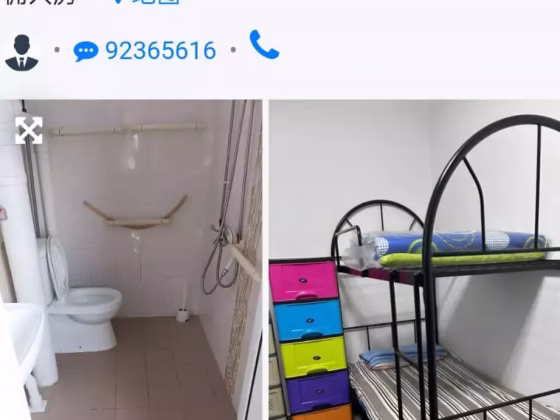 单间出租 • 林厝港 • 476 Jurong West Street 41 • S$390 • 3房(2臥室) • 床位出租 照片