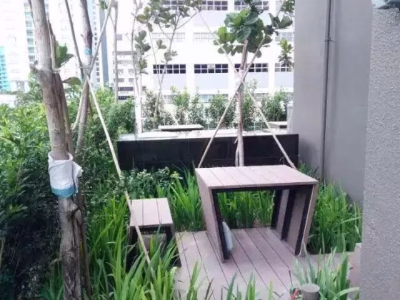 整套出租 • 纽顿 •  The Viridian • S$2950 • 住宅公寓 • 530ft² / 49m² 照片