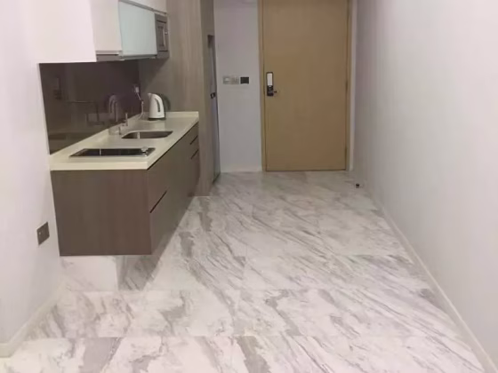 整套出租 • 纽顿 •  The Viridian • S$2950 • 住宅公寓 • 530ft² / 49m² 照片
