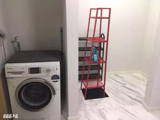 整套出租 • 纽顿 •  The Viridian • S$2950 • 住宅公寓 • 530ft² / 49m² 照片
