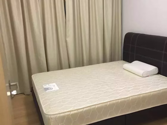 整套出租 • 纽顿 •  The Viridian • S$2950 • 住宅公寓 • 530ft² / 49m² 照片