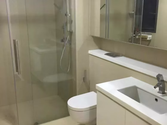 整套出租 • 纽顿 •  The Viridian • S$2950 • 住宅公寓 • 530ft² / 49m² 照片