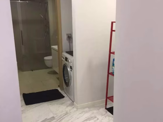 整套出租 • 纽顿 •  The Viridian • S$2950 • 住宅公寓 • 530ft² / 49m² 照片