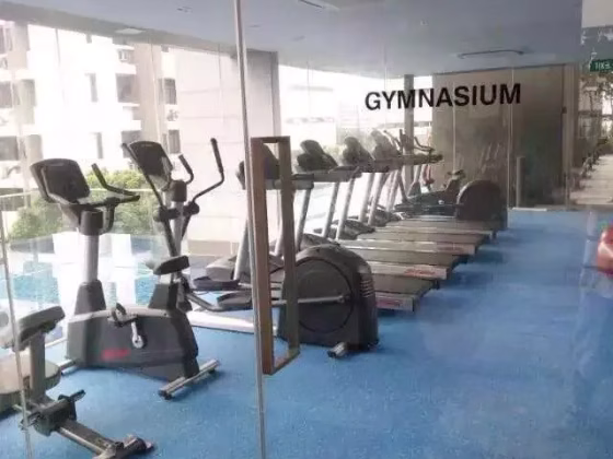整套出租 • 纽顿 •  The Viridian • S$2950 • 住宅公寓 • 530ft² / 49m² 照片