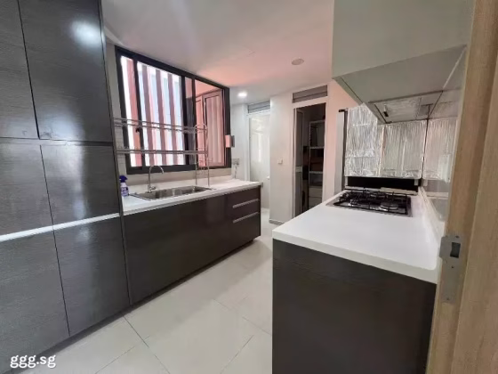 整套出租 • 三巴旺 •  Twin Fountains • S$6000 • 双拼别墅 • 1226ft² / 113m² 照片