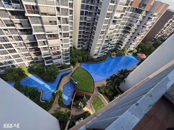 整套出租 • 三巴旺 •  Twin Fountains • S$6000 • 双拼别墅 • 1226ft² / 113m² 照片