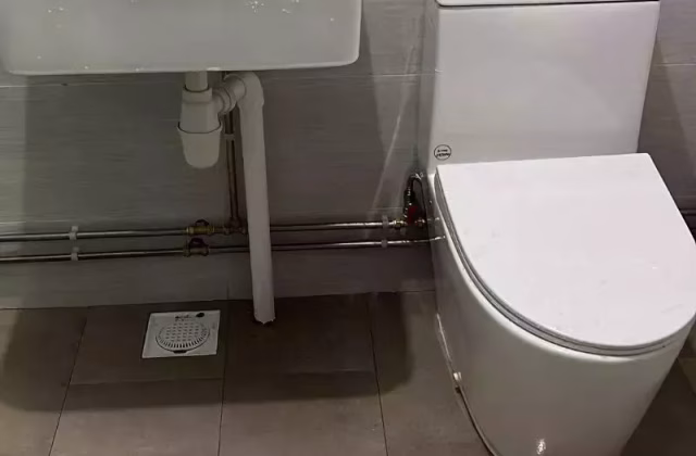 单间出租 • 市中心 • 161 Bishan Street 13 • S$1500 • 5房(4臥室) • 主人房