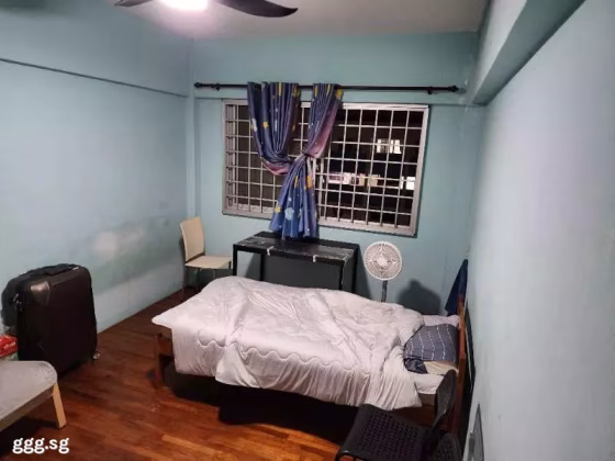 单间出租 • 梧槽 • 867 Yishun Street 81 • S$700 • 3房(2臥室) • 普通房 照片