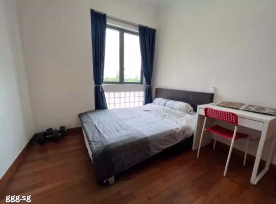 单间出租 • 红山 •  Springdale Condo • S$1150 • 共管公寓 • 普通房 照片