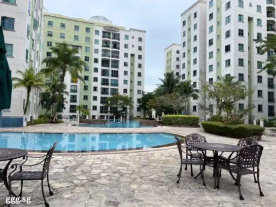 单间出租 • 红山 •  Springdale Condo • S$1150 • 共管公寓 • 普通房 照片